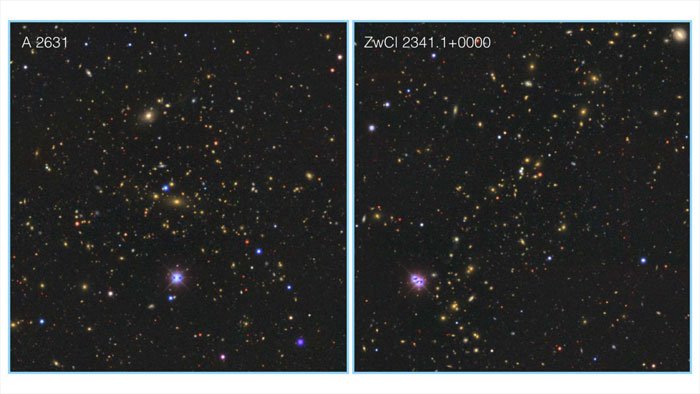 The two most massive galaxy clusters within in Saraswati supercluster.