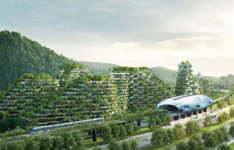 forest city