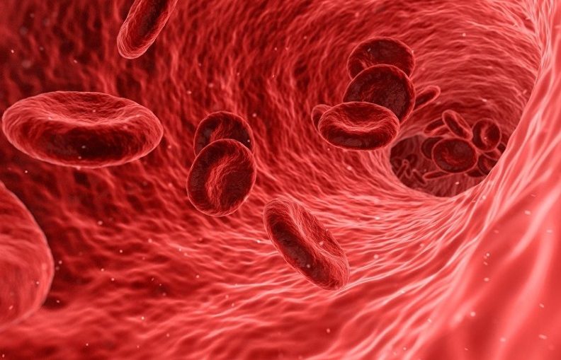 Blood
