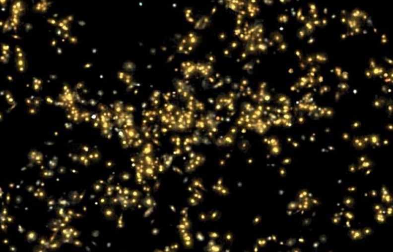 supercluster