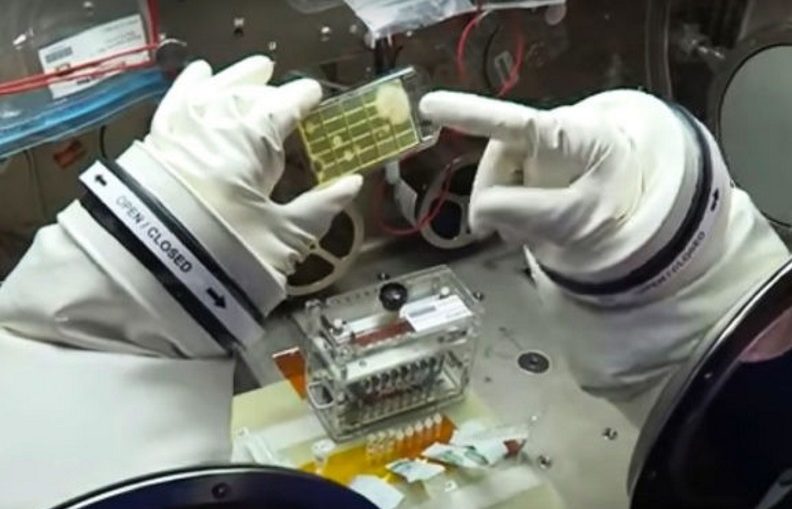 NASA Microbes In Space