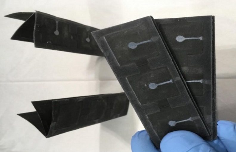 Bacteria Battery