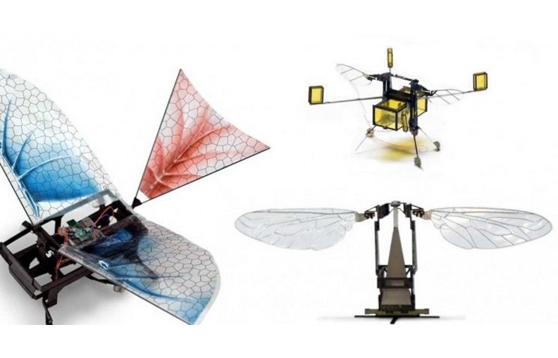 Robots Were Inspired by Insects