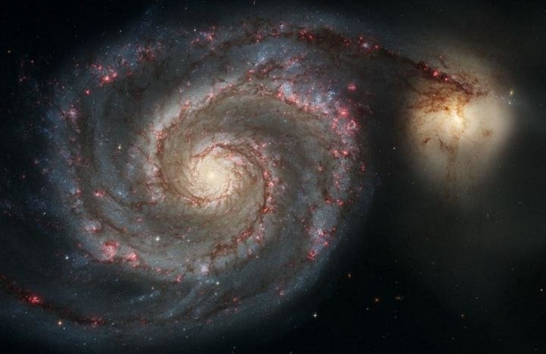 The Whirlpool Galaxy (M51a) and companion galaxy (M51b). This Hubble Space Telescope image represents a merger between two galaxies similar in mass to the Milky Way and the Large Magellanic Cloud.