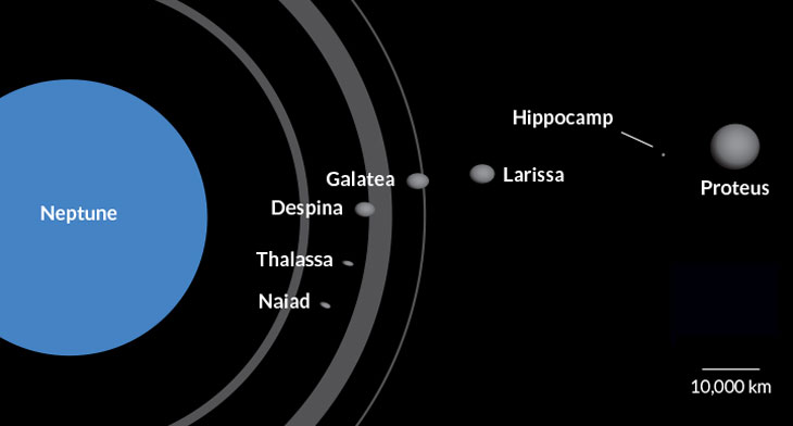 Neptune has seven inner moons (illustrated here with the planet’s rings), and the smallest now has a name: Hippocamp.