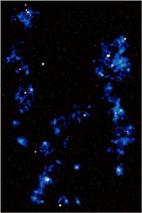 Map showing the gas filaments (blue) running from the top to the bottom of the image. 