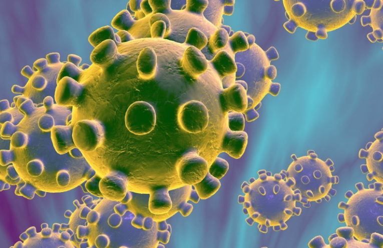 what is coronavirus?